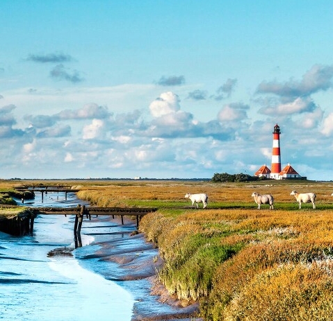 粉象生活新手怎么做