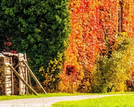 粉象生活怎么上传照片