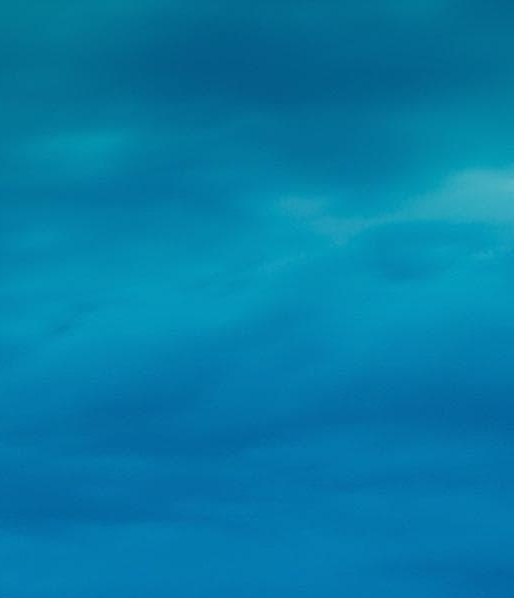 上海加盟粉象生活赚钱么