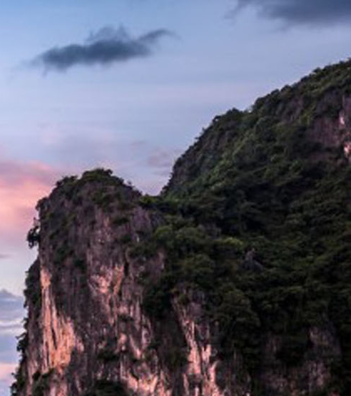 粉象生活邀请码