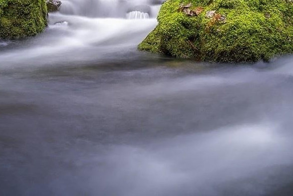 粉象生活可以赚钱吗