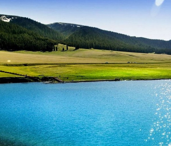 粉象生活app邀请一人多少钱