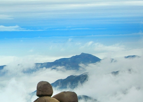 央视报道绿叶爱生活