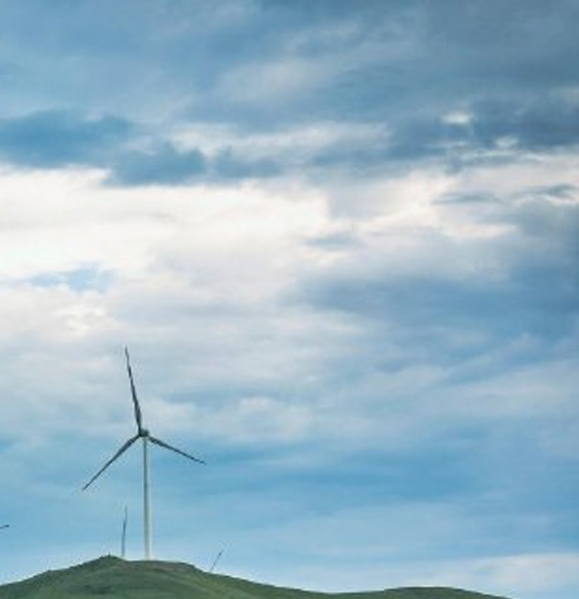 粉象生活怎么赚钱的