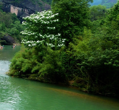 粉象生活全套系统