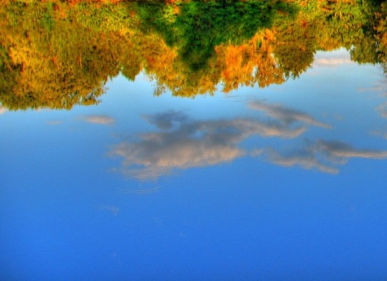 粉象生活靠谱不