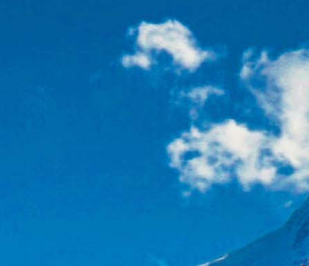 粉象生活的注册时间