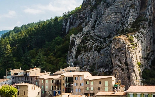 双鱼男粉象生活