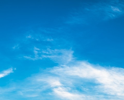 粉象生活有多少会员