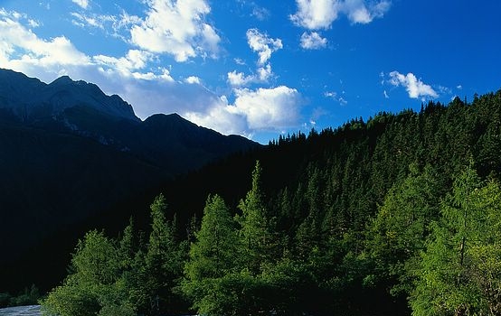 粉象生活商家怎么推广