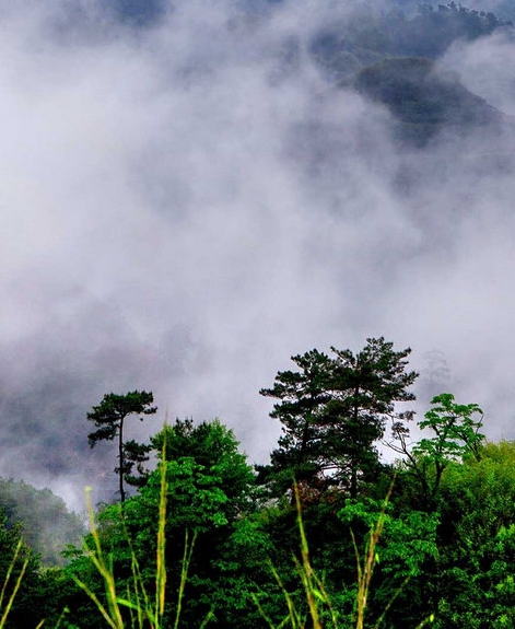 粉象生活怎么赚钱