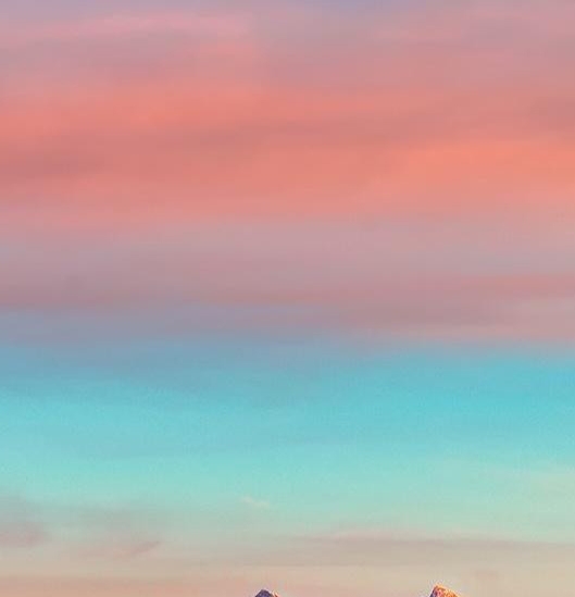 粉象生活推广软件