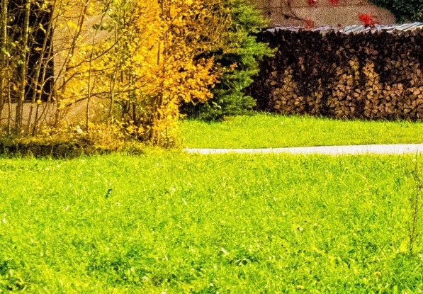 粉象生活的订单怎样查物流