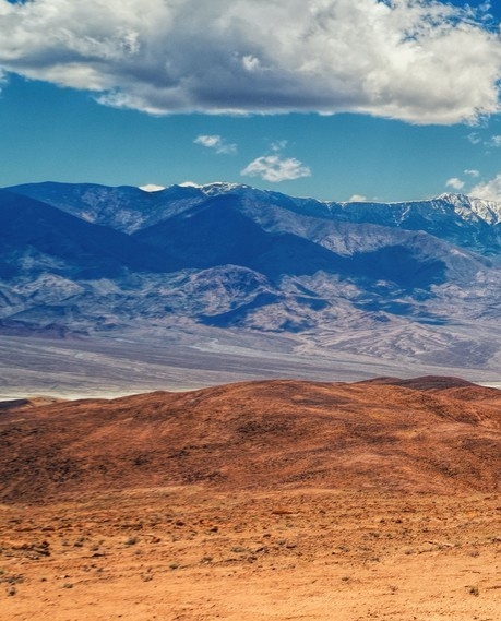 广东正规粉象生活赚钱么