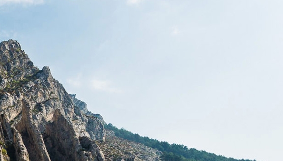 怎么在粉象生活下载视频