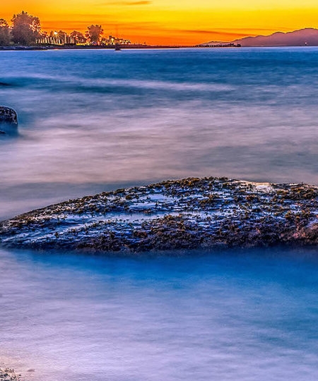 忻州粉象生活推广