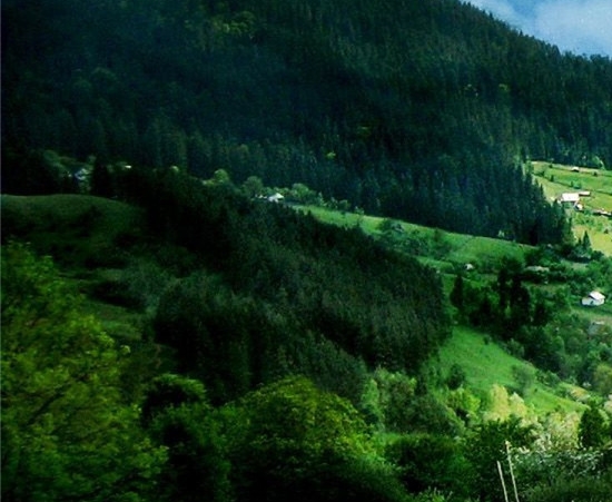 粉象生活需要推广多长时间