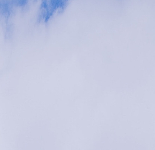 粉象生活平台源码