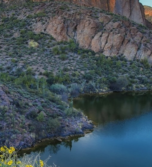 粉象生活下载app