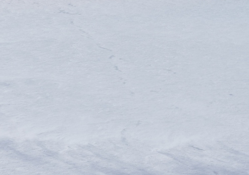 建行生活新人福利