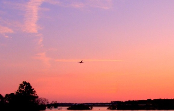 粉象生活不想用别人的邀请码