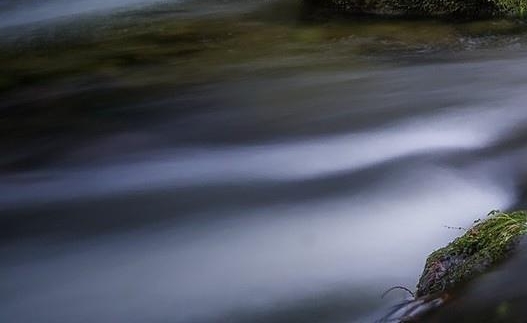 为什么粉象生活优惠券那么多