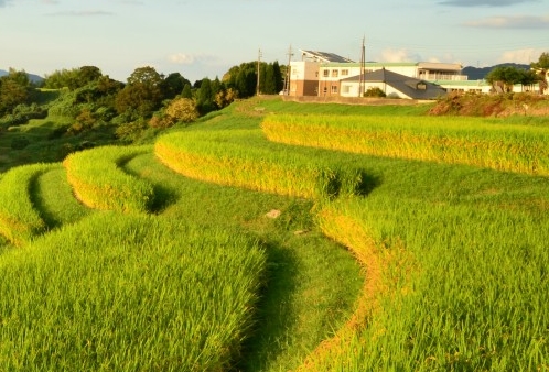 粉象生活如何看推荐量
