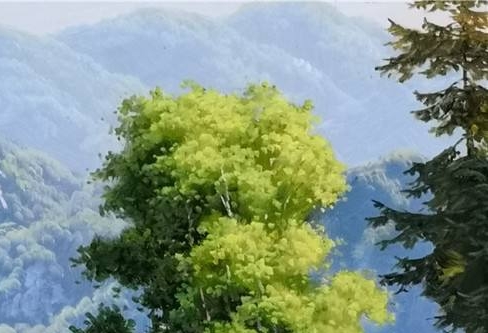粉象生活分销宝是什么