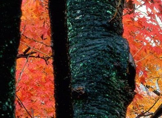 粉象生活可以赚钱吗