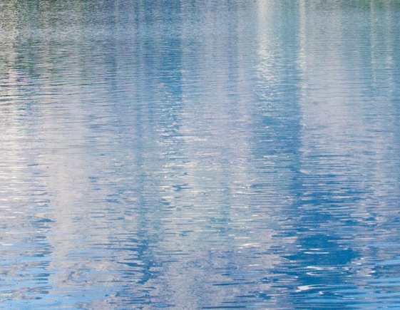 粉象生活邀请码