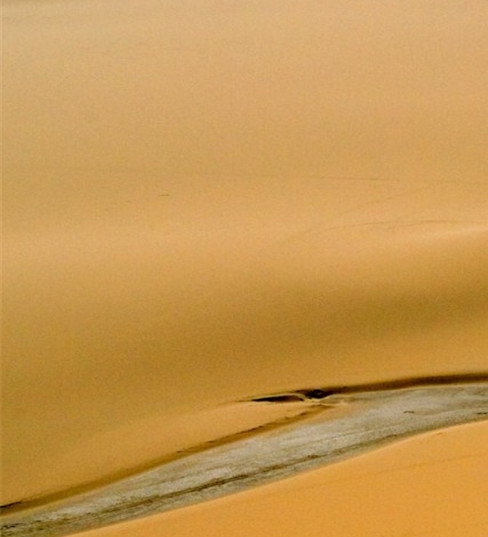 粉象生活发单就能赚钱吗