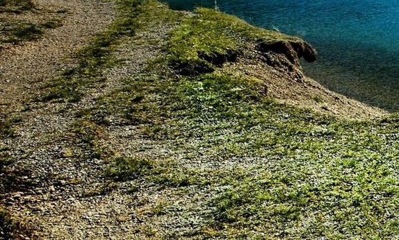 粉象生活选择推广人