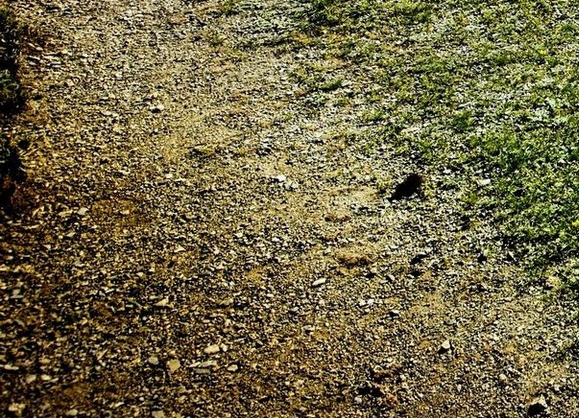 追求生活品质是什么意思