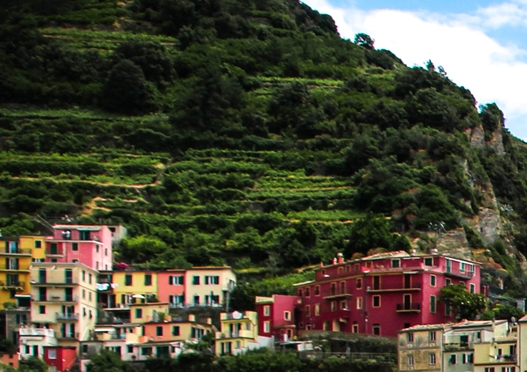 京东附近生活圈入驻