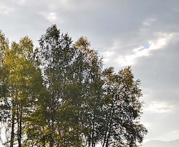 粉象生活怎么推广引流加粉丝