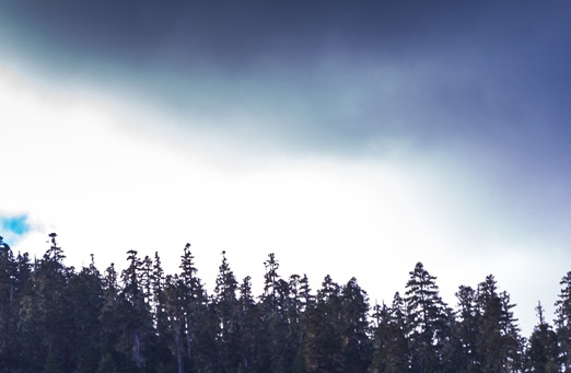 粉象生活赚钱教程