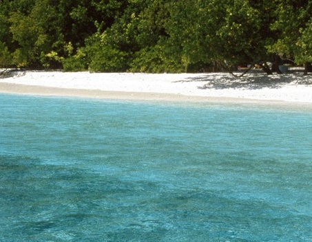 粉象生活下载app