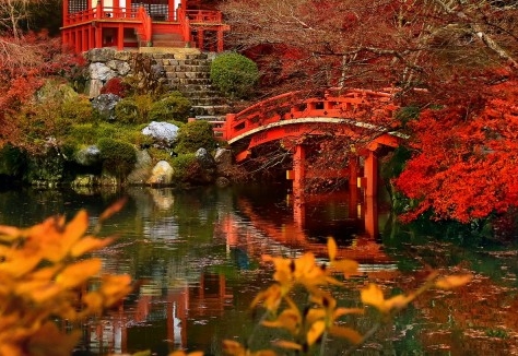 粉象生活朋友圈文案