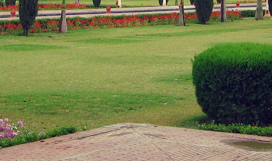 粉象生活邀请码