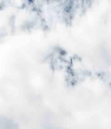 粉象生活邀请码填哪个好