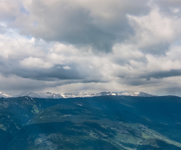 淘宝商品怎么加入粉象生活