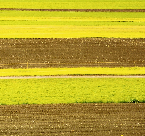 粉象生活新项目