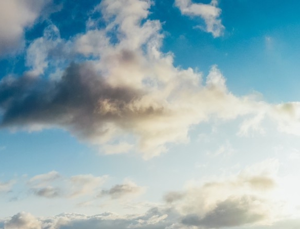 粉象生活还是粉象优惠券