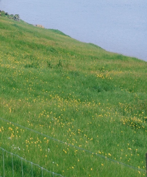 粉象生活下载app