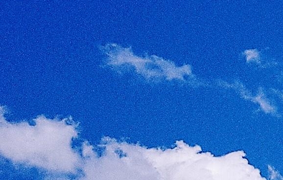 粉象生活免费vip资格