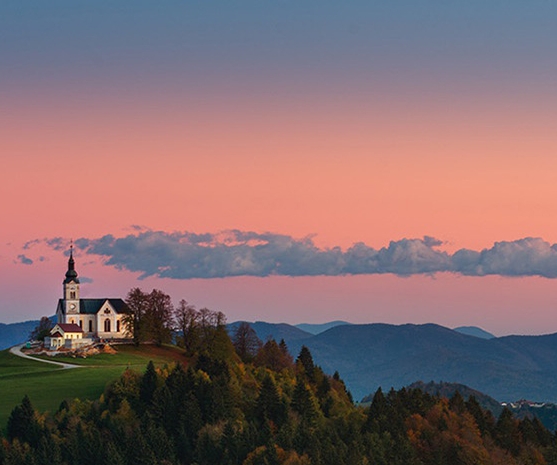 粉象生活是什么?