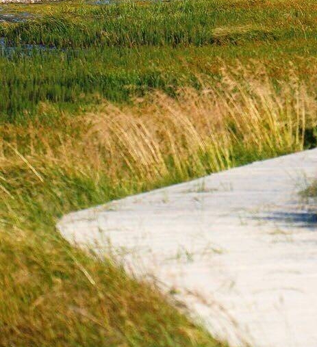 粉象生活为什么要20个合伙人