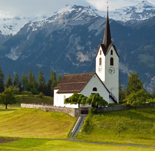 广东粉象生活合伙人