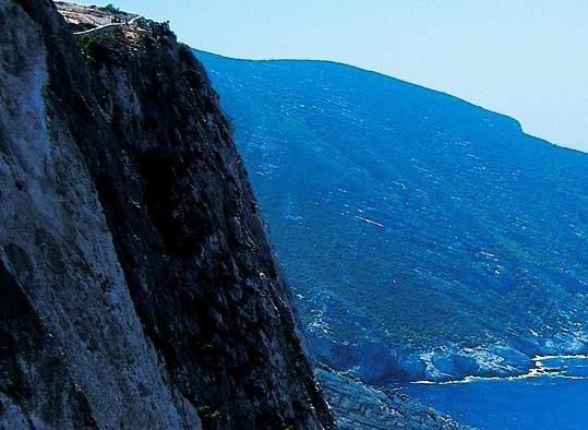 粉象生活升级太难