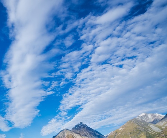 粉象生活下载app